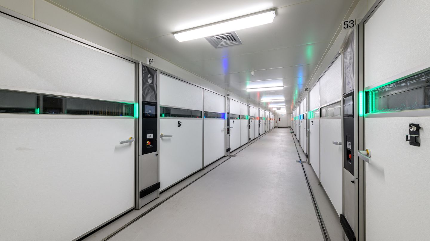 NRG Services delivering the supply and installation of site-wide communication networks and security systems at Darwalla Hatchery processing facility in Queensland.