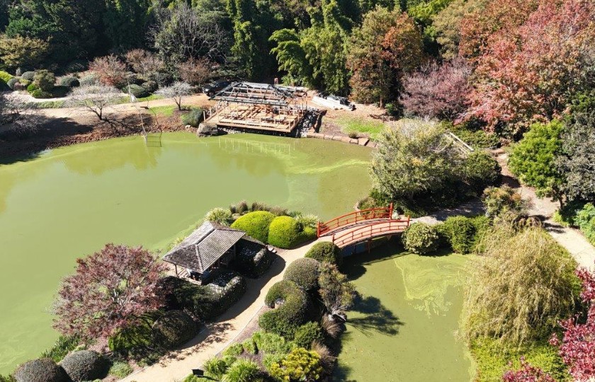 NRG Specialist Trade Services - Construct for Japanese Inspired Pavillion